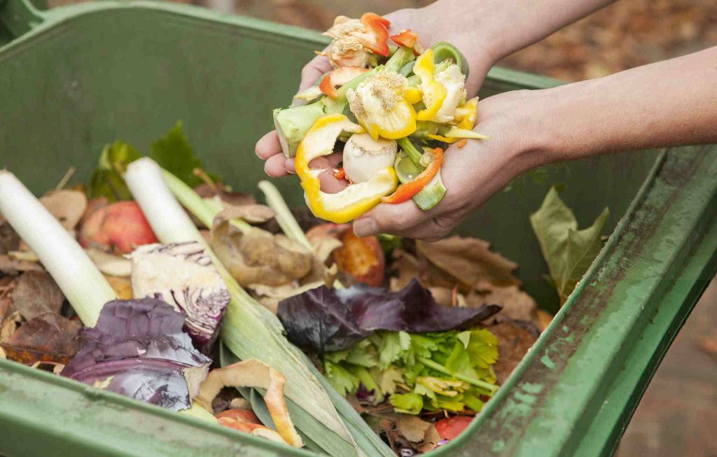 Green Waste Bin