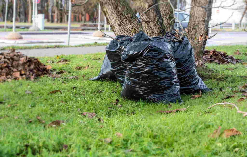 Garden Waste Removal